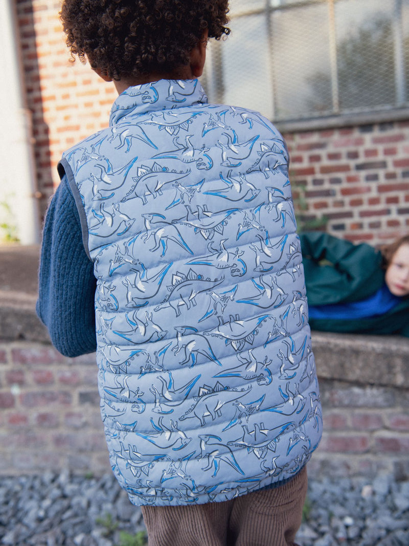 Doudoune sans manche imprimé dinosaures pour graçon