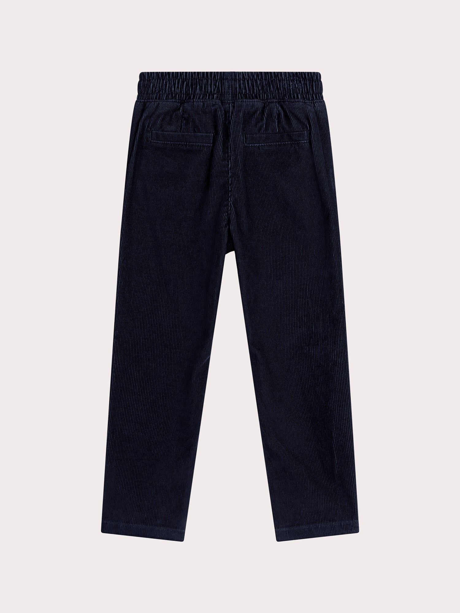 Pantalon bleu marine en velours milleraies