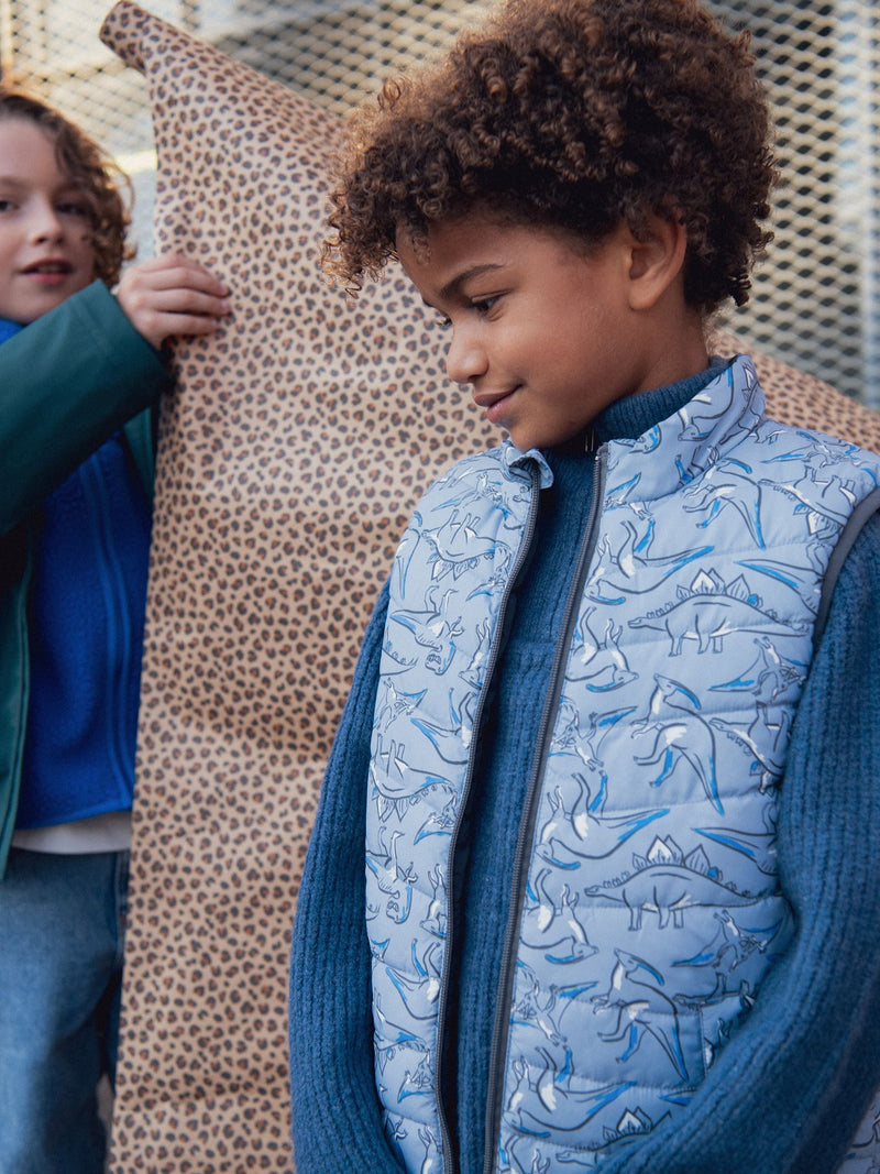 Weste mit Dinosaurierdruck für Jungen