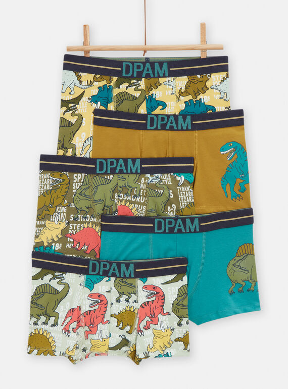 5er-Pack mehrfarbige Unterhosen mit Dinosaurier-Motiv und -Aufdruck für Jungen TEGOBOXSEM2 / 24SH1263BOXC239