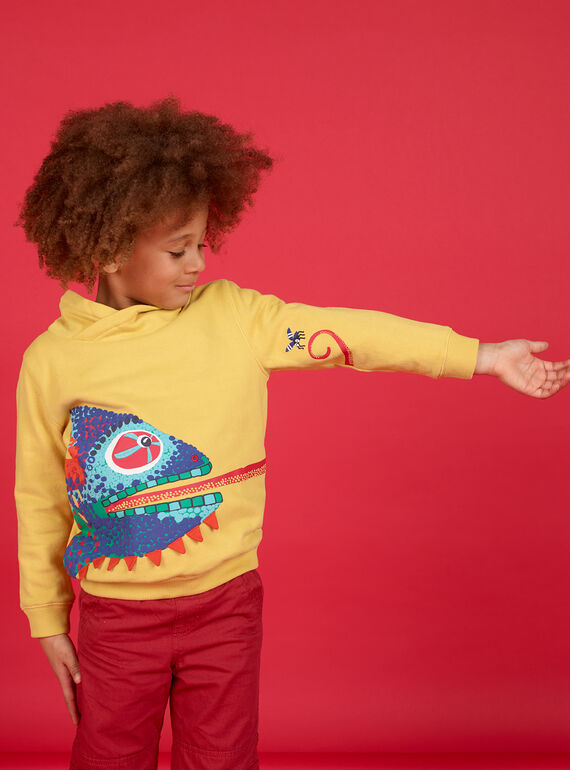 Sweatshirt - Hoher Kragen - Enfant Garçon LOROUSWE / 21S902K1SWE102