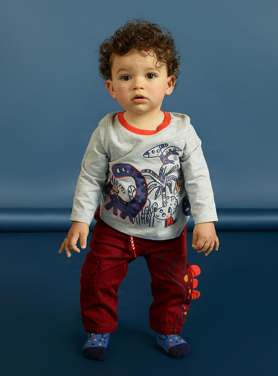 Graues Baby-Jungen-T-Shirt mit langen Ärmeln und Dinosaurier-Druck MUPATEE3 / 21WG10H2TML943