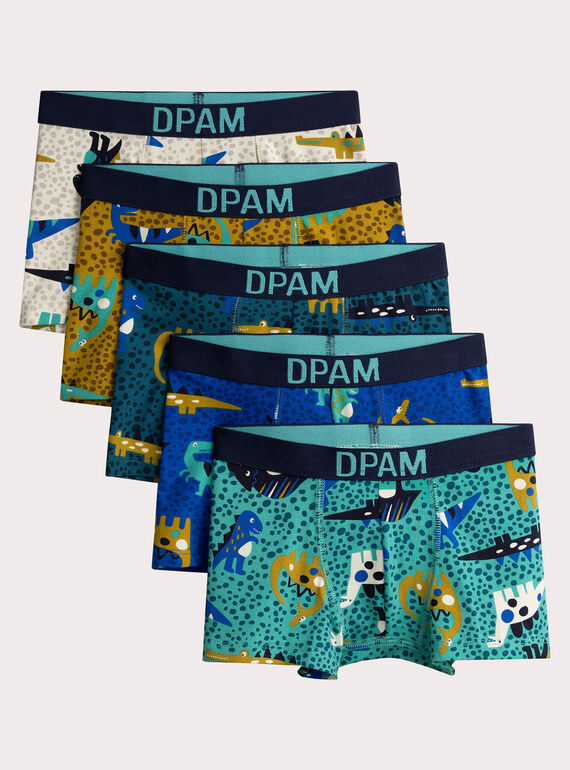 Set mit 5 Unterhosen mit Dinosaurier-Print für Jungen  VEGOBOXSEM1 / 24WH1283BOX209