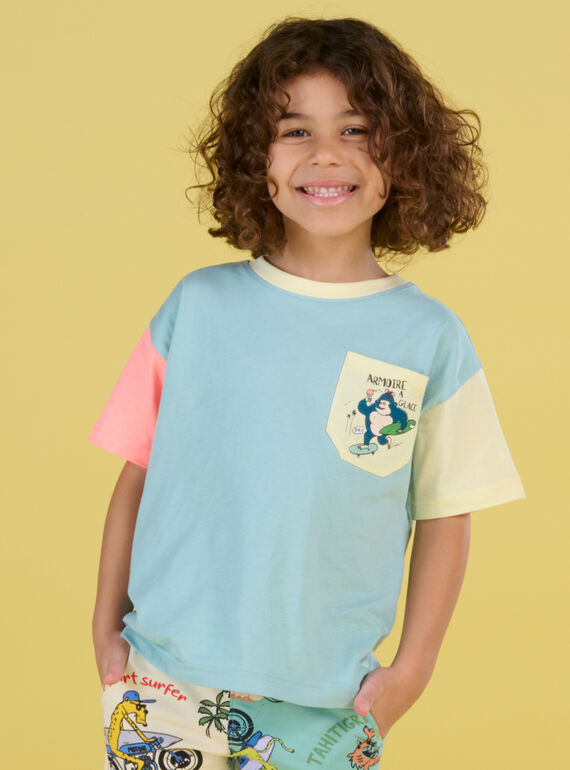 Seladonblaues T-Shirt mit kontrastierenden Ärmeln ROEXOTI5 / 23S902V5TMC204