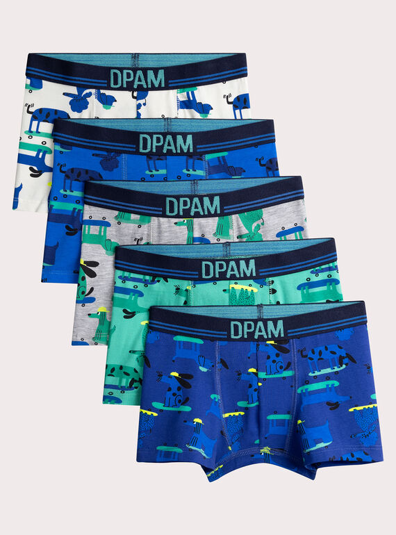 Set mit 5 Unterhosen mit Hundedruck für Jungen  VEGOBOXSEM2 / 24WH1281BOXC214